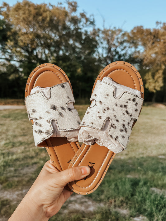 Daleena Cowhide Sandals in Black