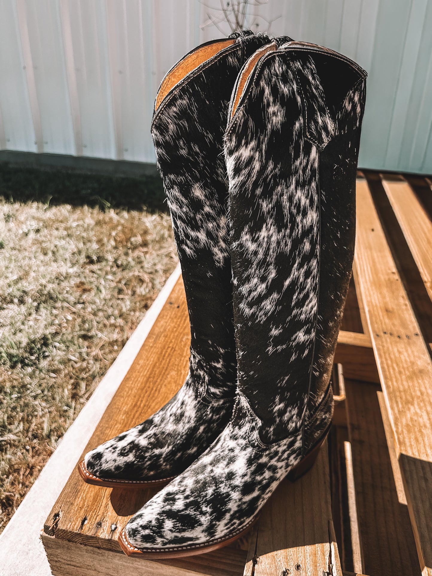 Knee High Cowhide Boots ~ Snip Toe