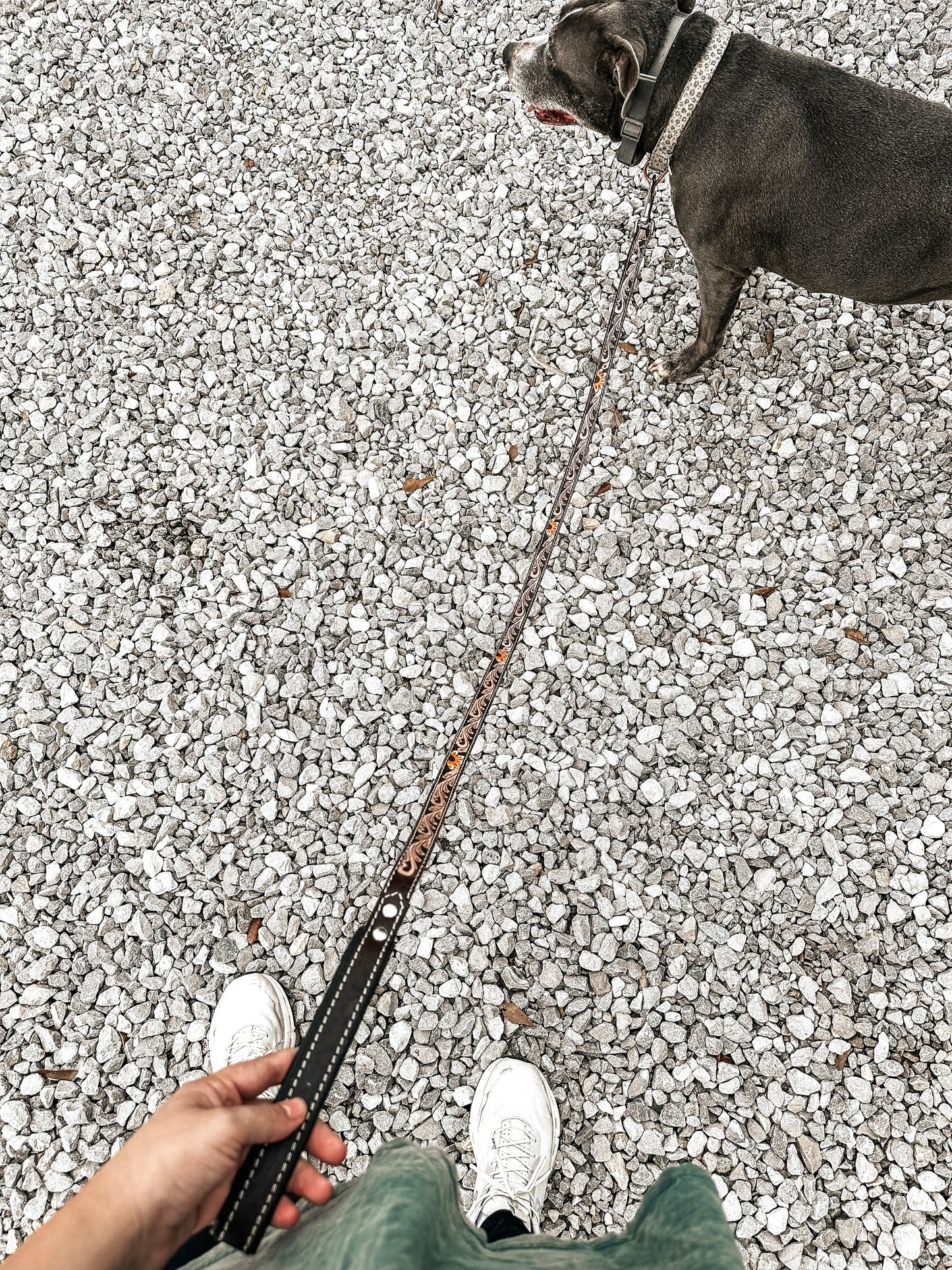 Tooled Leather Dog Leash - Sunflower