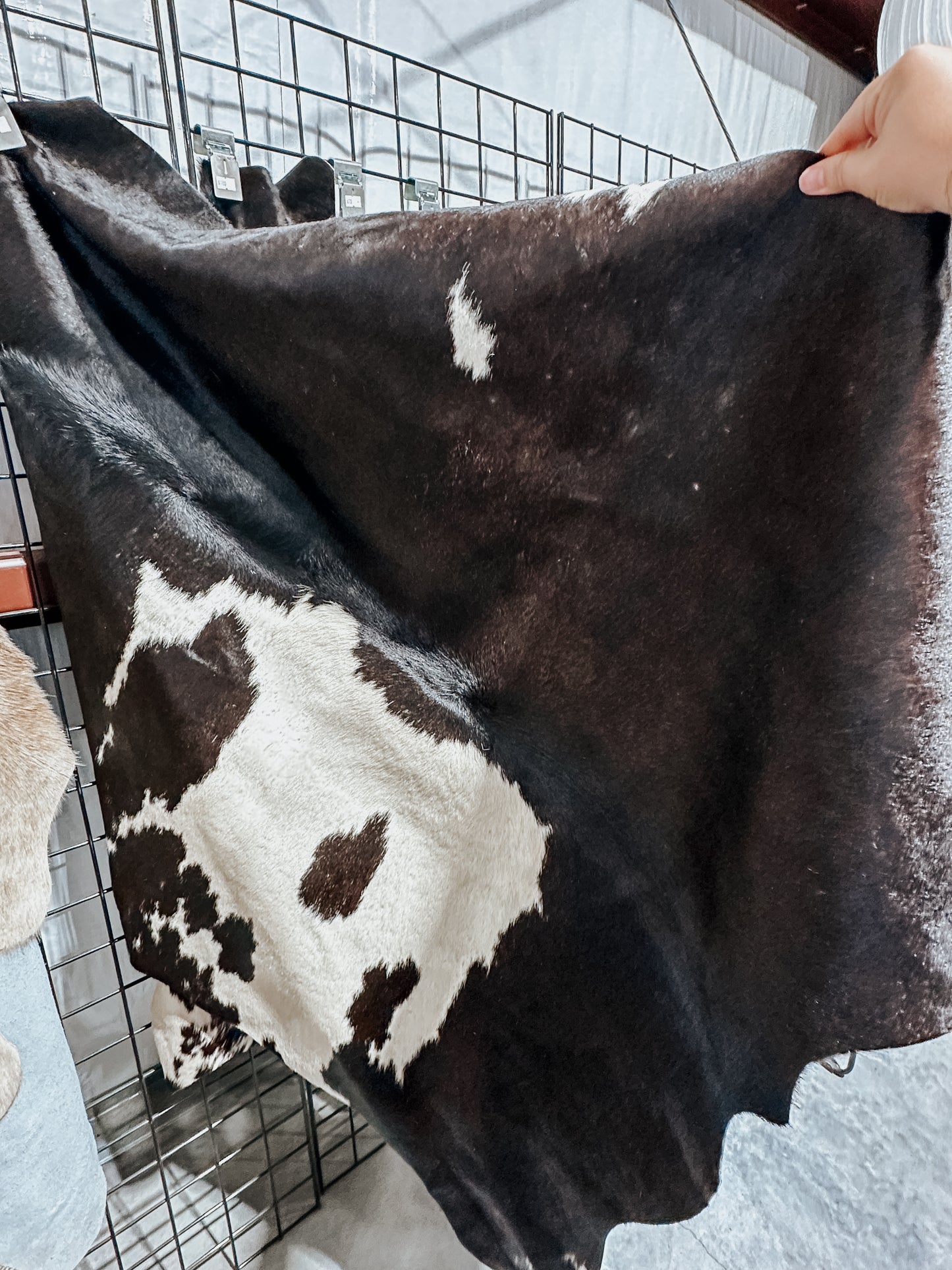Cowhide Rug #1