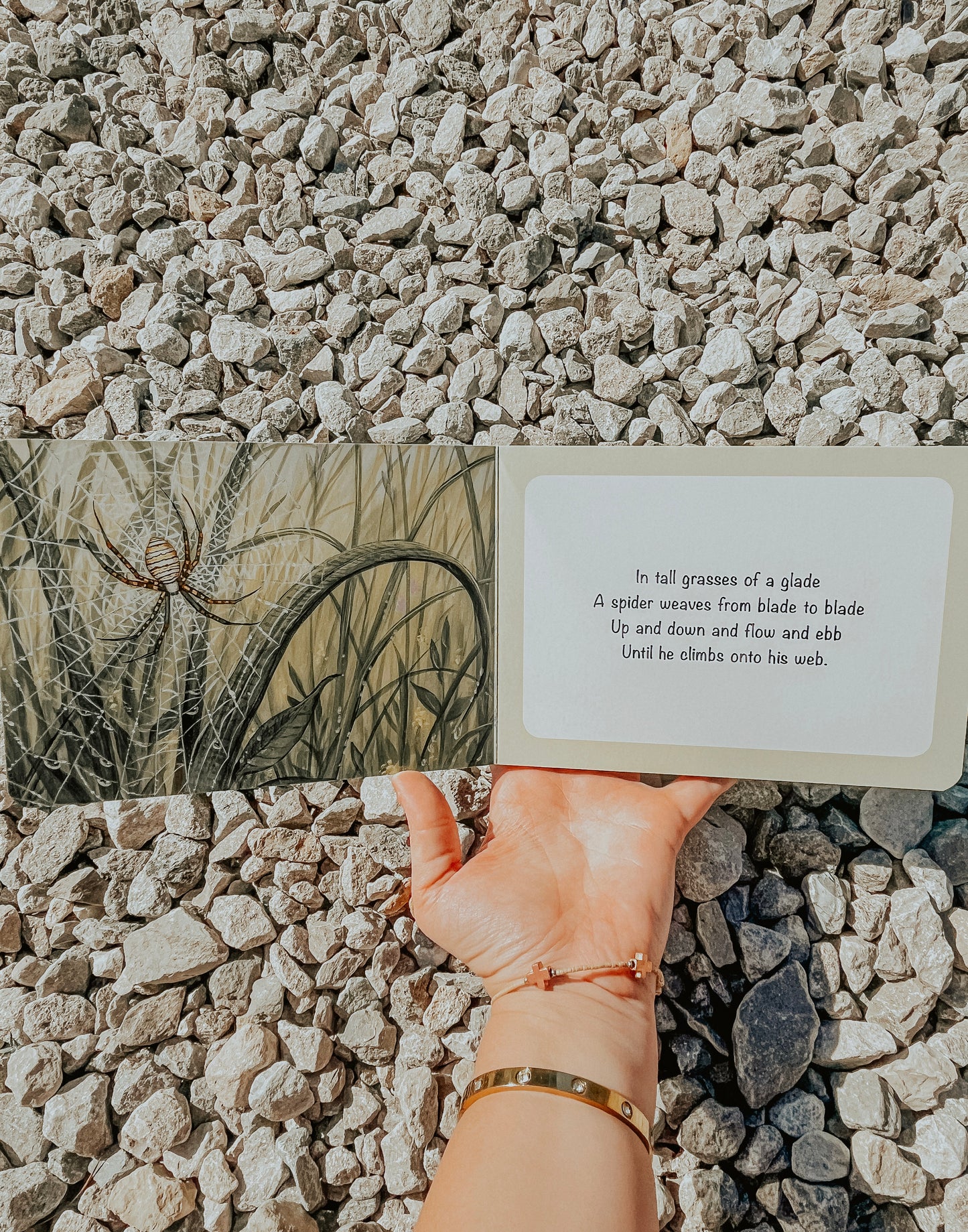 Kids Book - Sleepy Snoozy Cozy Coozy