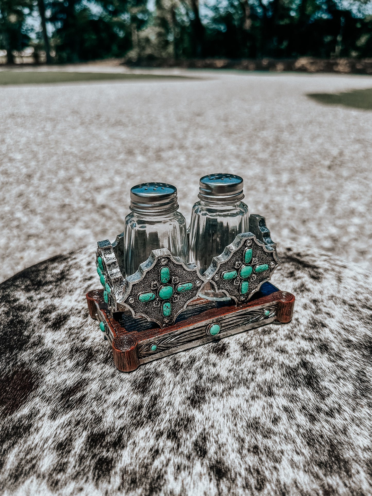 Turquoise Salt & Pepper Shaker Set