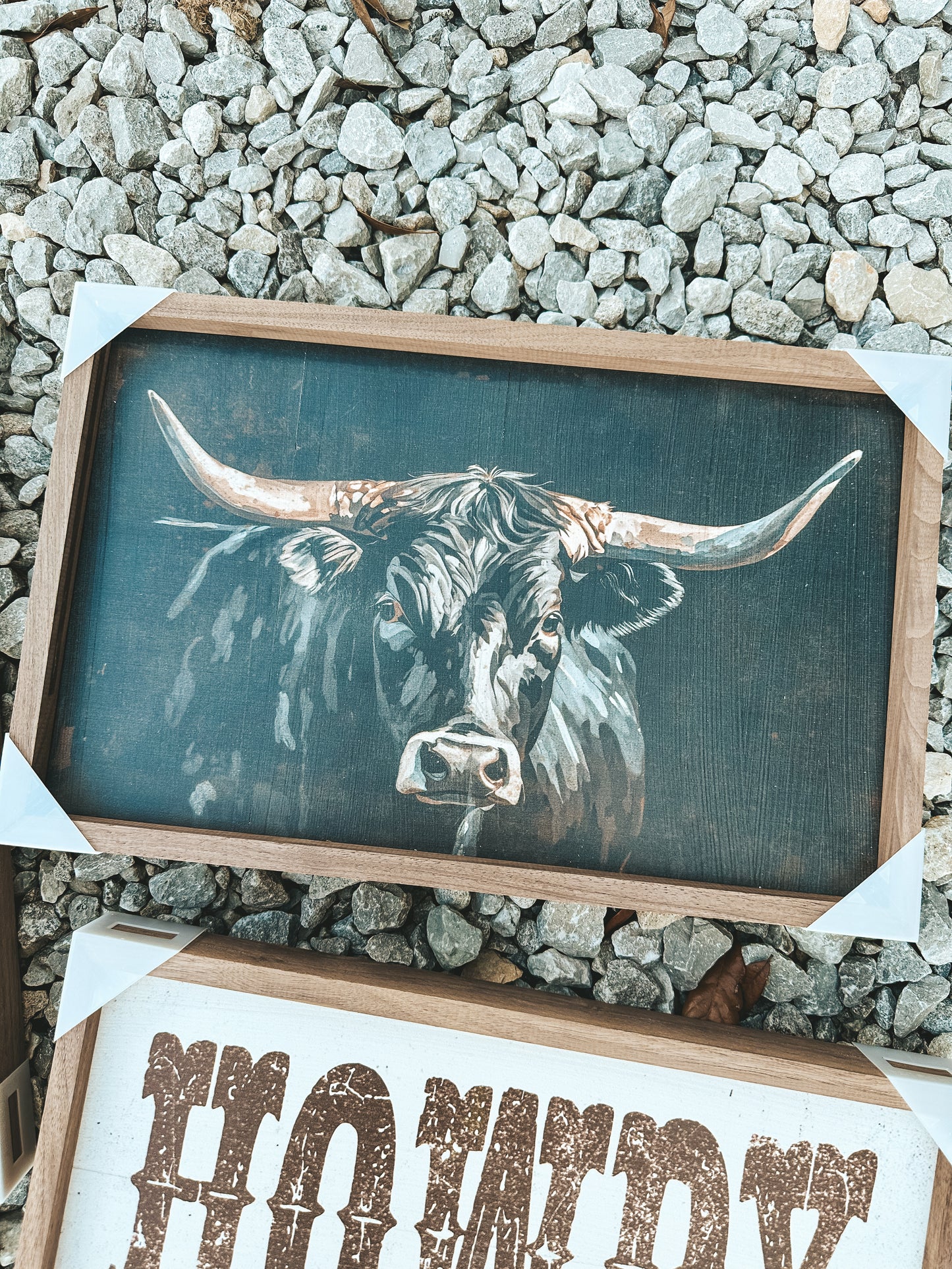 Black Longhorn Wooden Decor