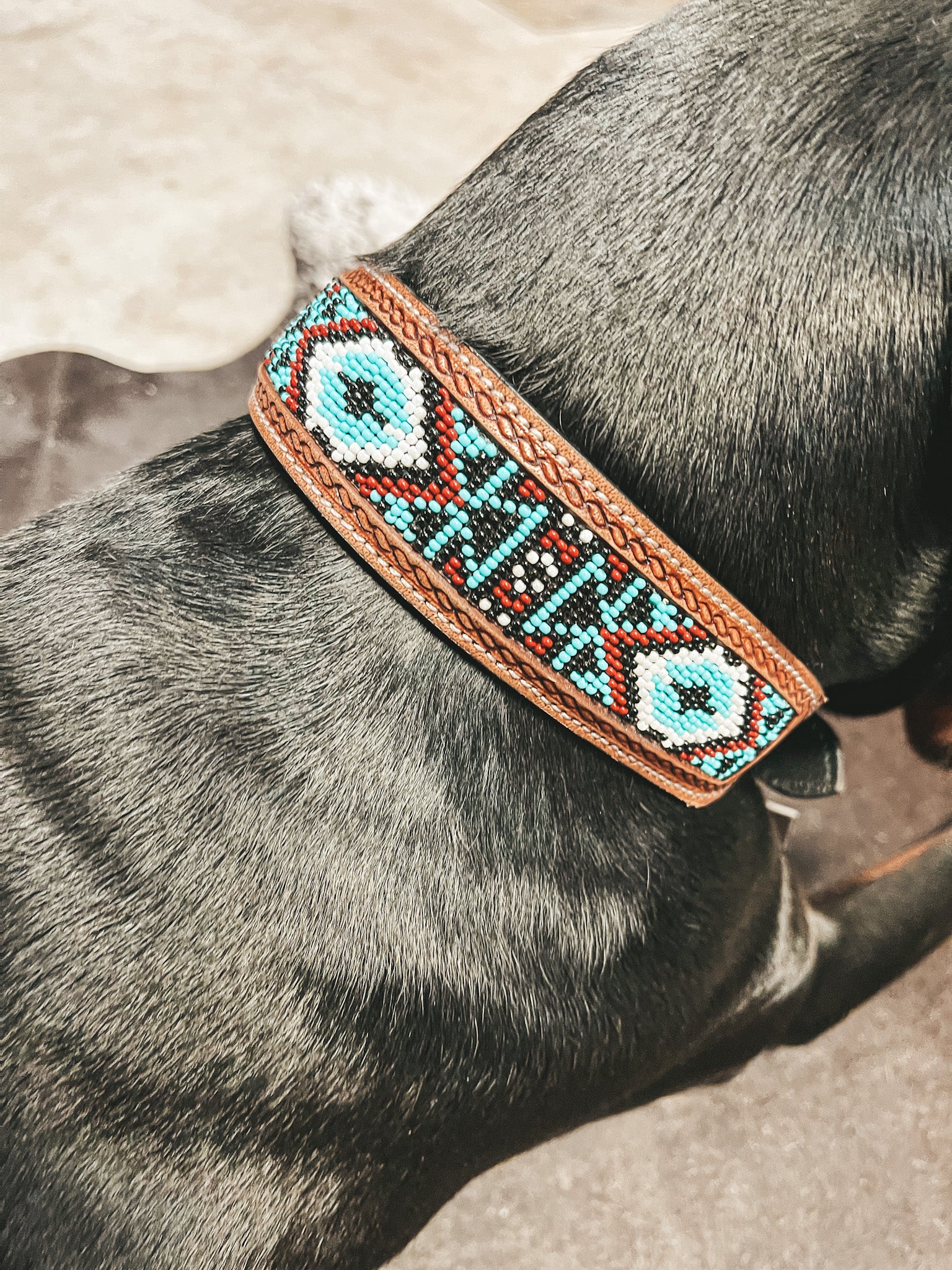 Whizter Beaded Dog Collar