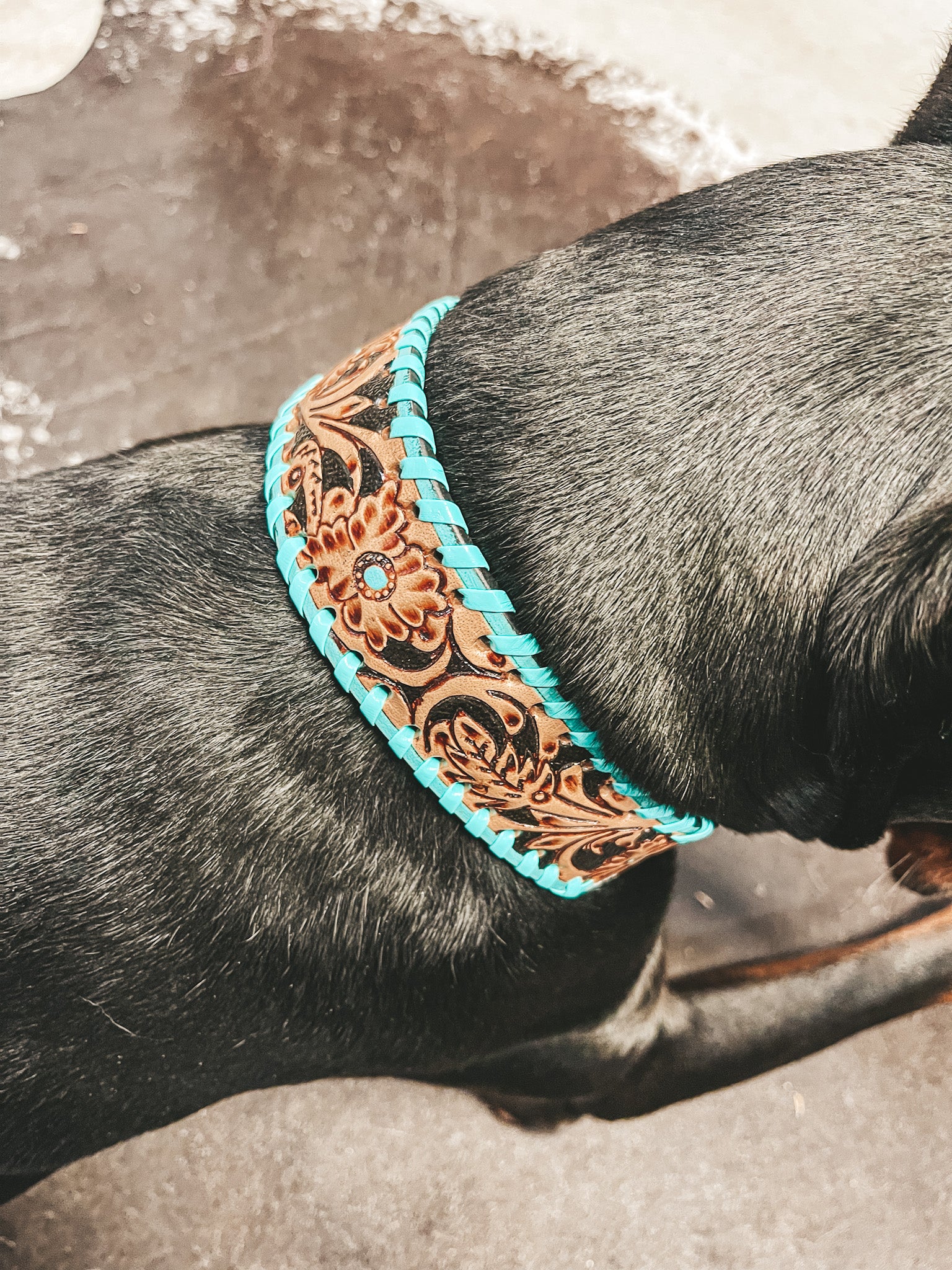 Acety Turquoise Tooled Leather Dog Collar - Main Image