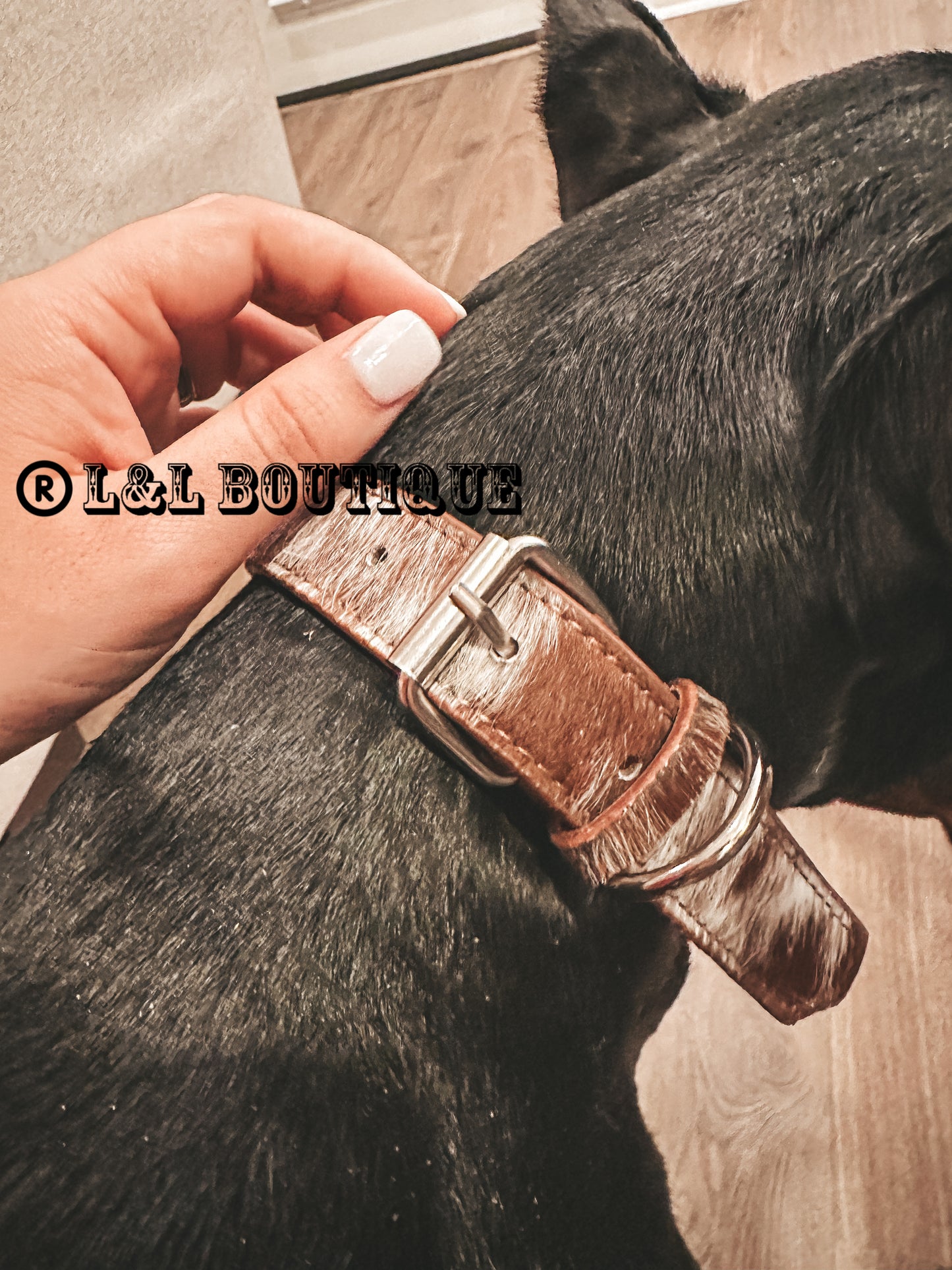 Cowhide Dog Collar