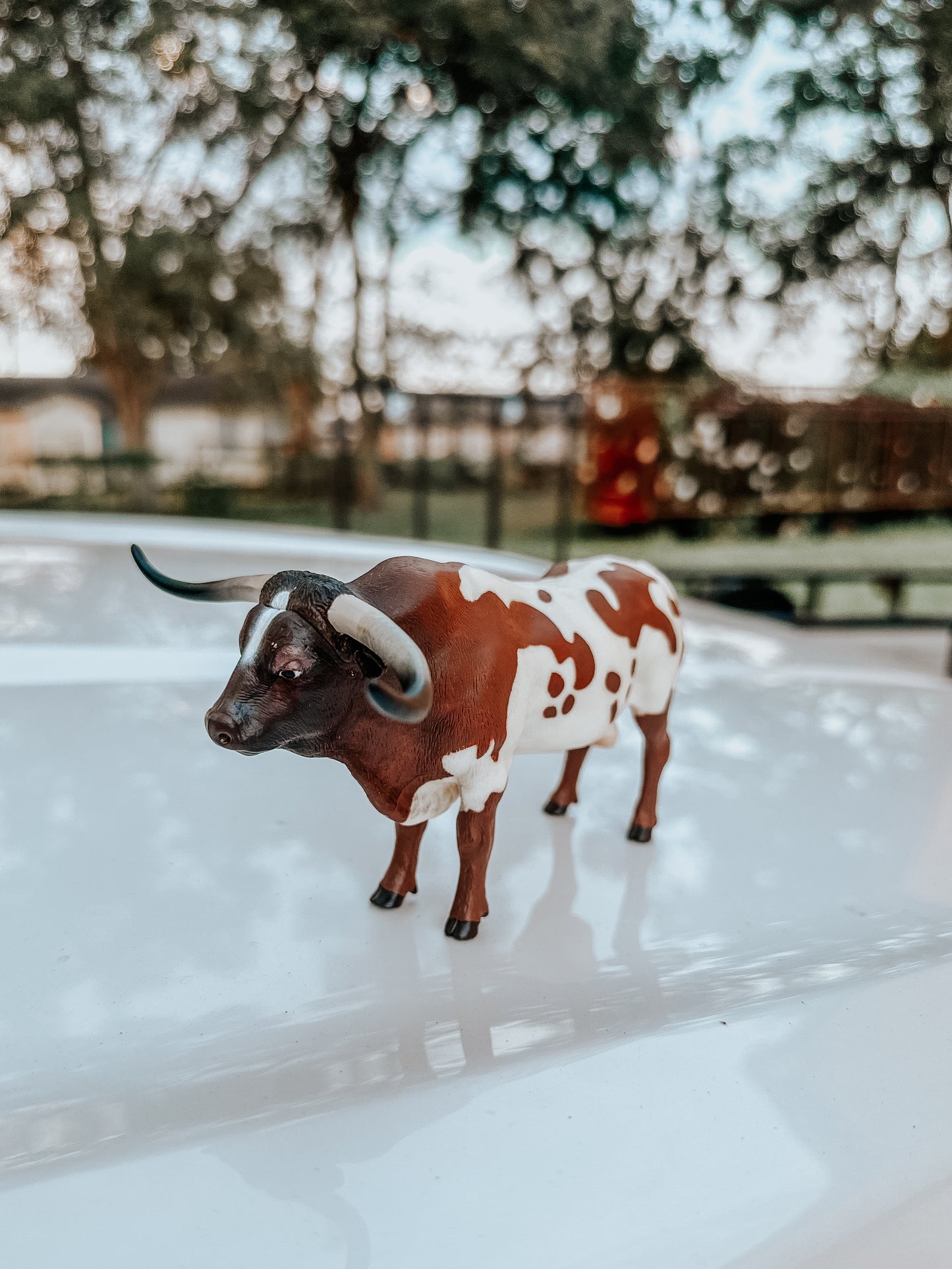 Longhorn Bull Toy