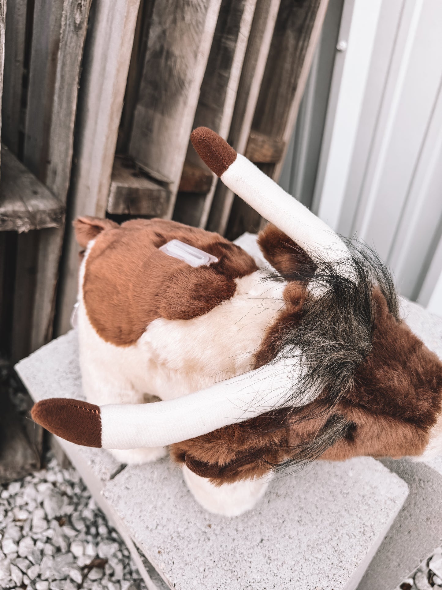 Stuffed Piggy Bank - Longhorn