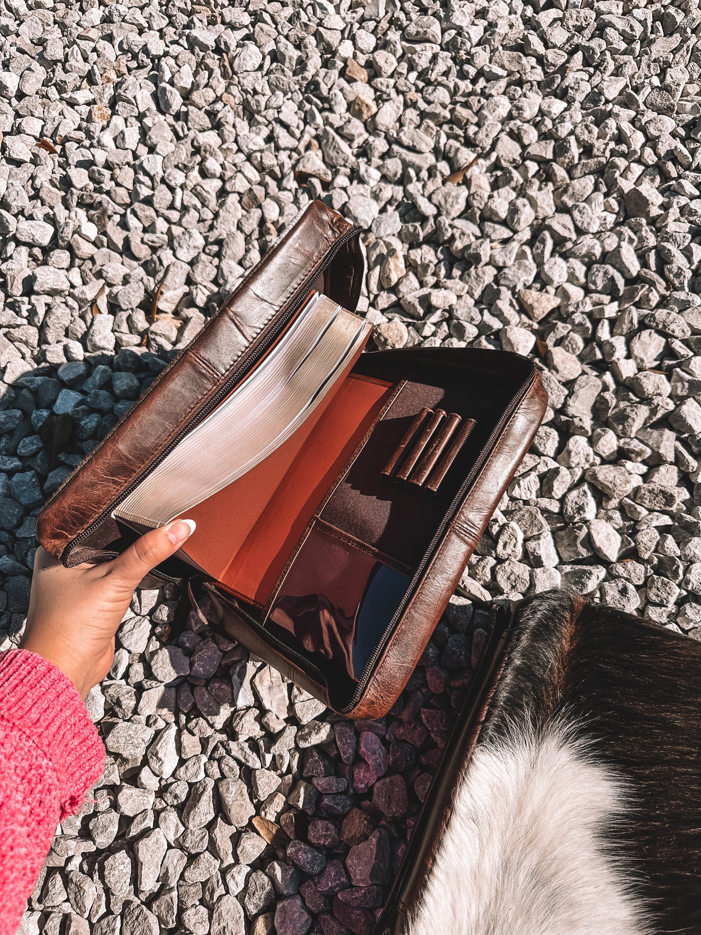 Cowhide & Leather Bible Case