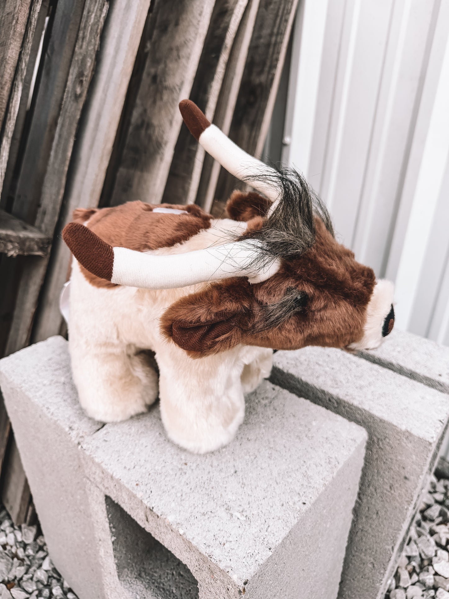 Stuffed Piggy Bank - Longhorn