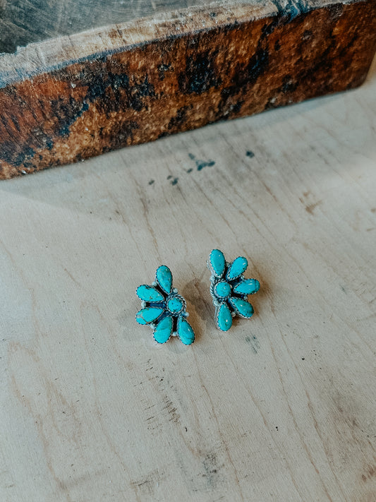 Broken Bow Earrings in Turquoise