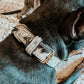 Monterey Cowhide Dog Collar with Gold Accent Bones