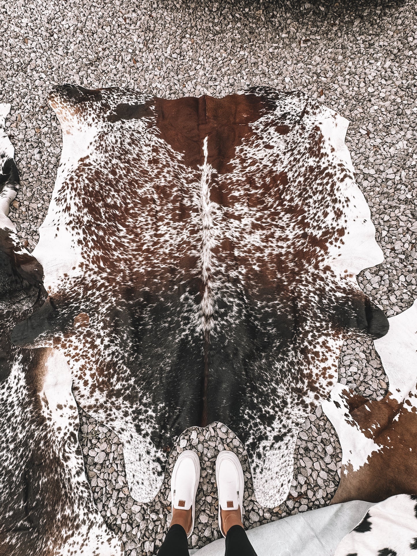Jumbo Cowhide Rug (B)