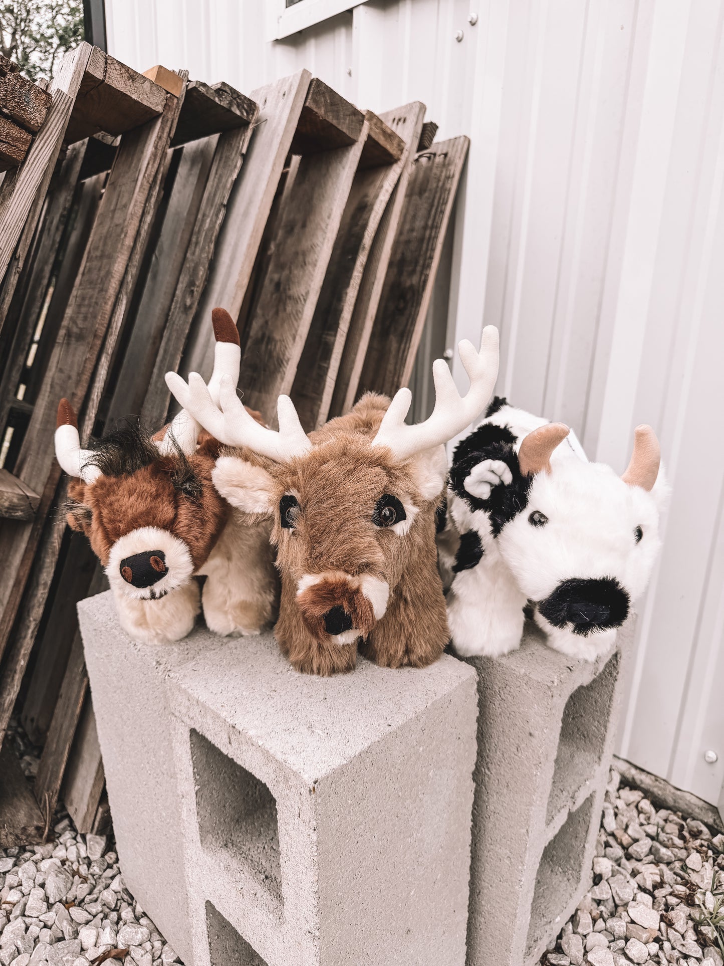 Stuffed Piggy Bank - Longhorn