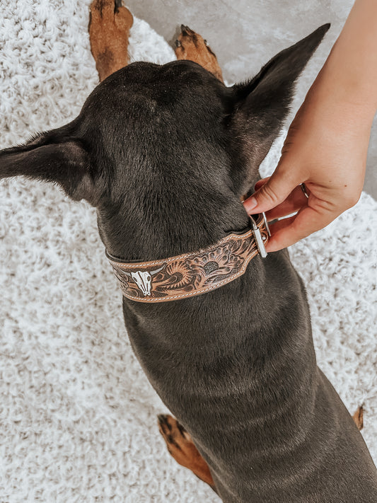 Bull Skull Leather Dog Collar