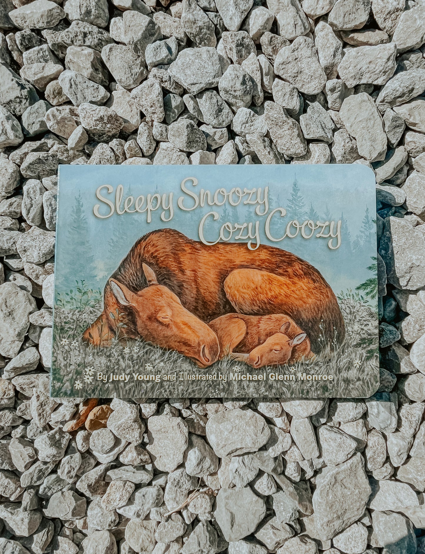 Kids Book - Sleepy Snoozy Cozy Coozy