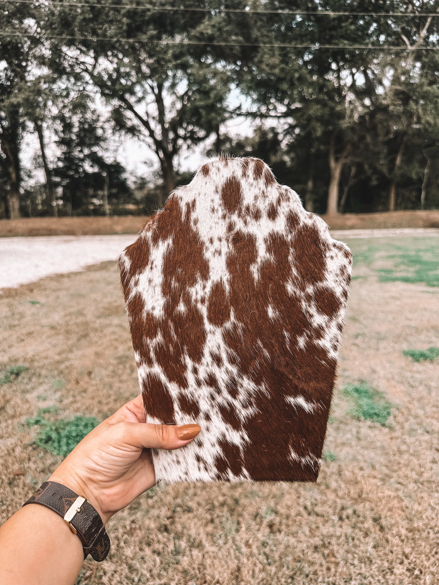 Thick Cowhide Necklace Stand