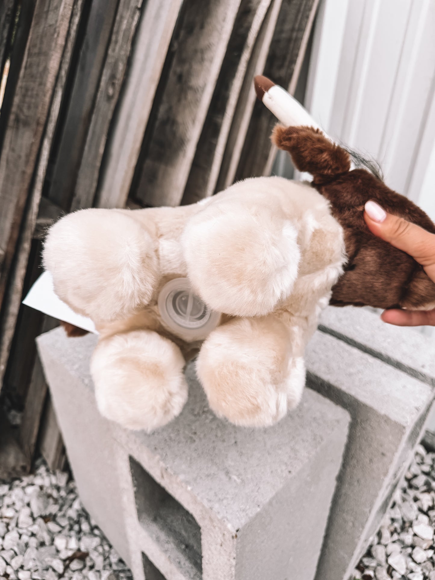 Stuffed Piggy Bank - Longhorn