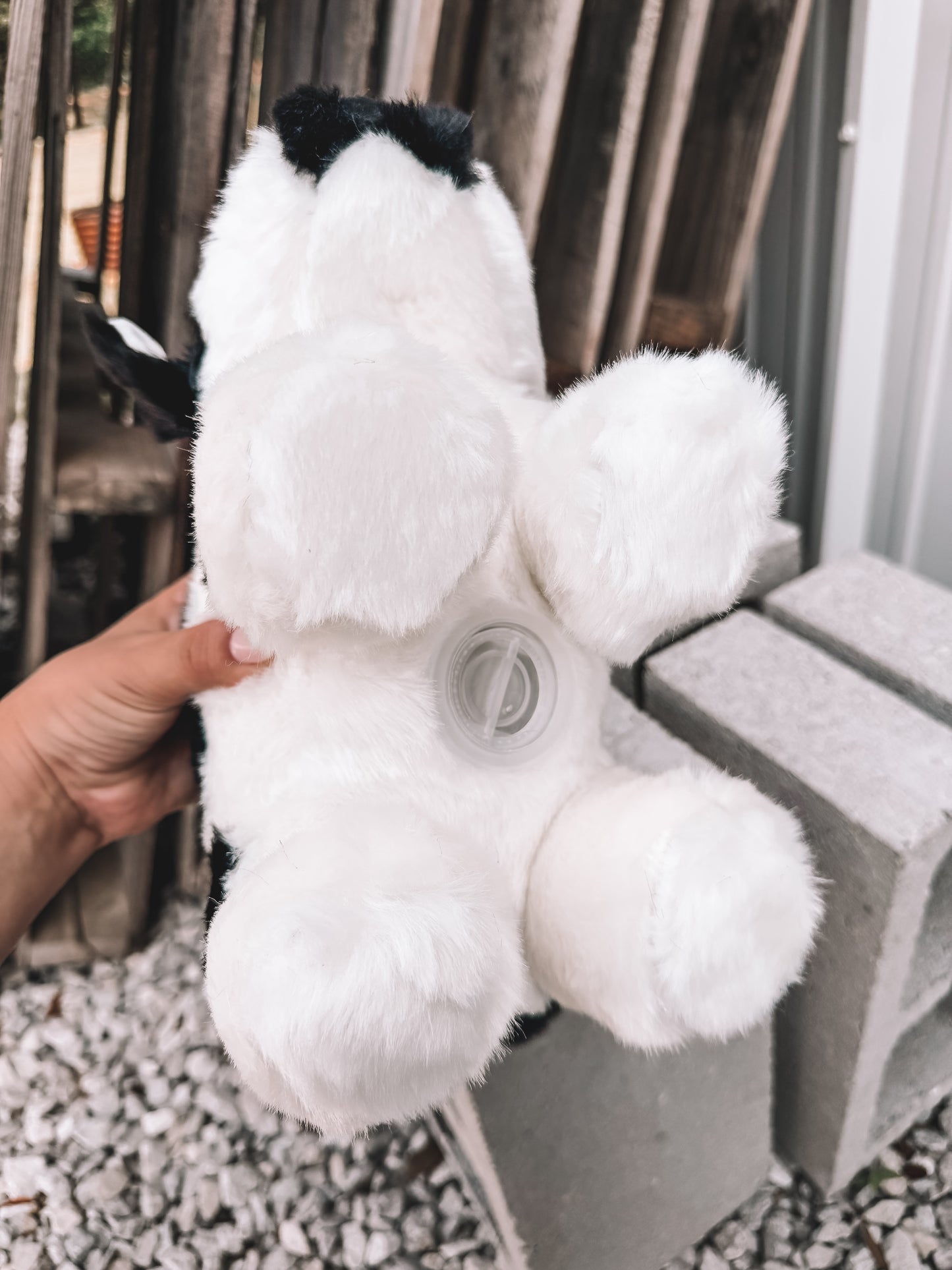 Stuffed Piggy Bank - Cow