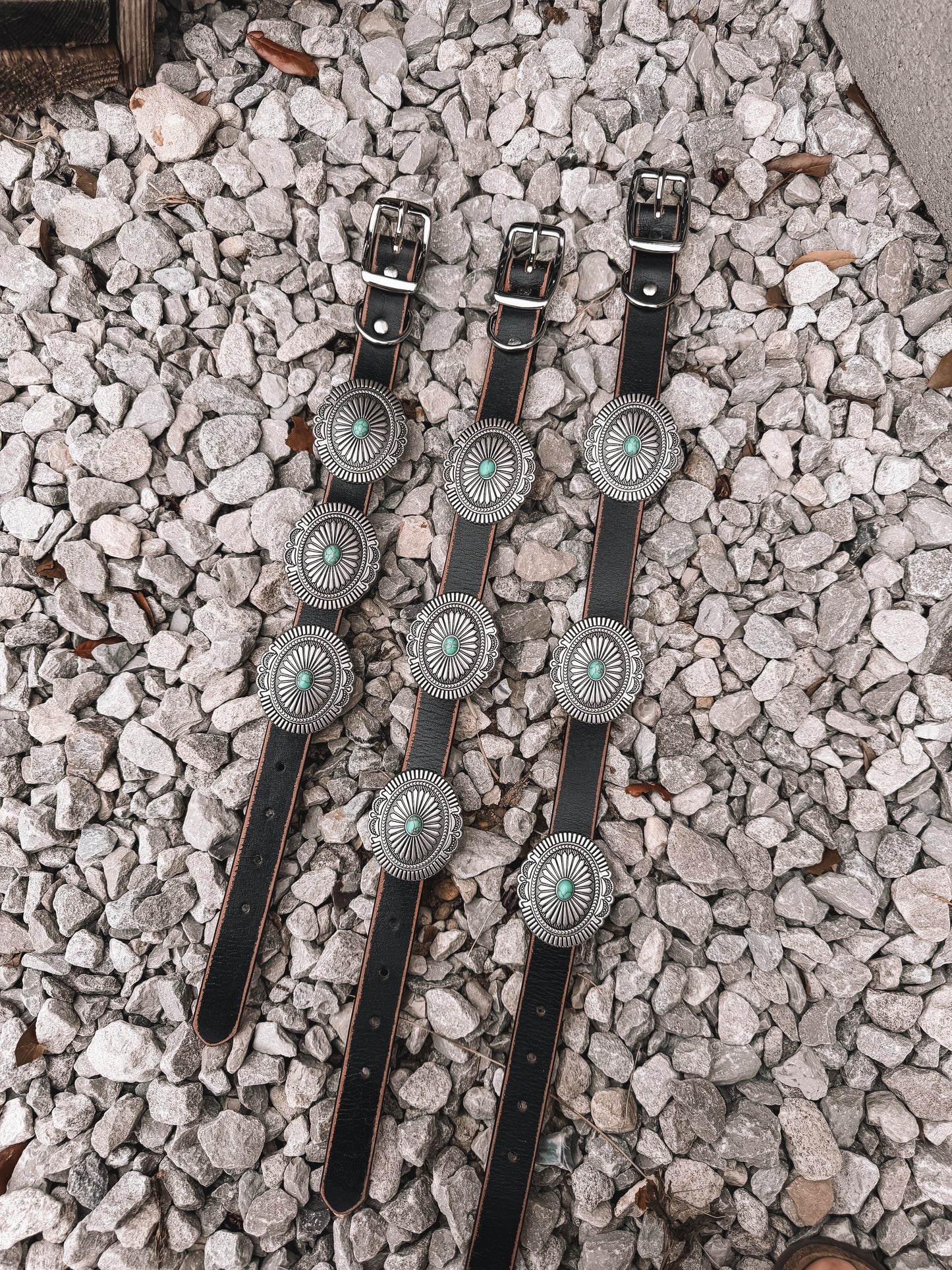 Turquoise Concho Dog Collar