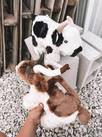 Stuffed Piggy Bank - Cow