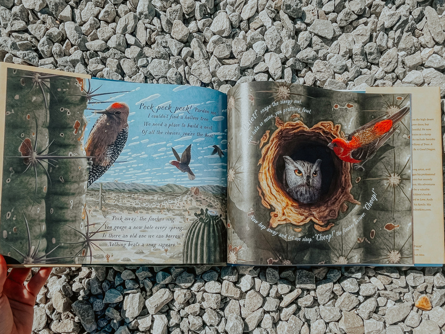 Kids Book - Saguaro’s Gifts