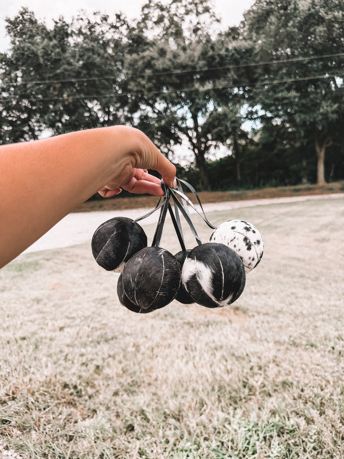 Cowhide Ornament Set of 6 Balls