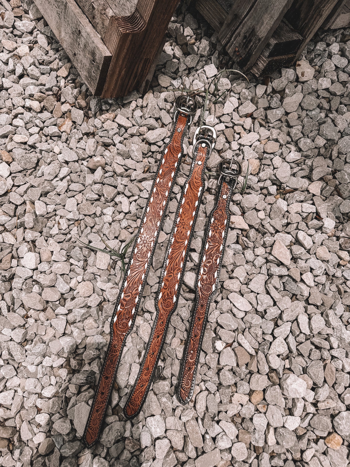 Draco Tooled Leather Dog Collar