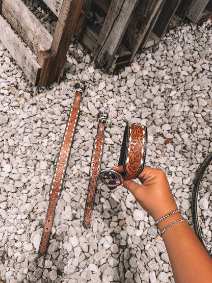 Draco Tooled Leather Dog Collar