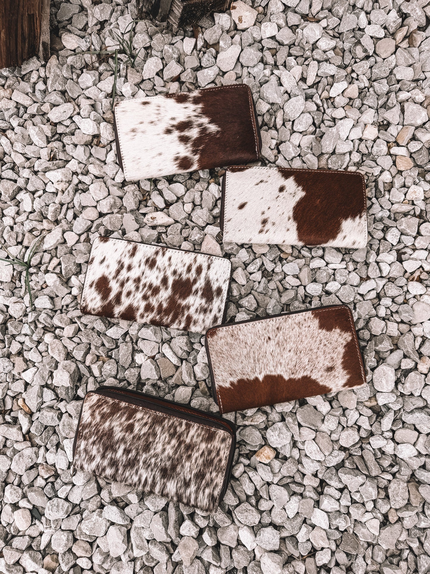 Cowhide Zip-up Wallet in Light