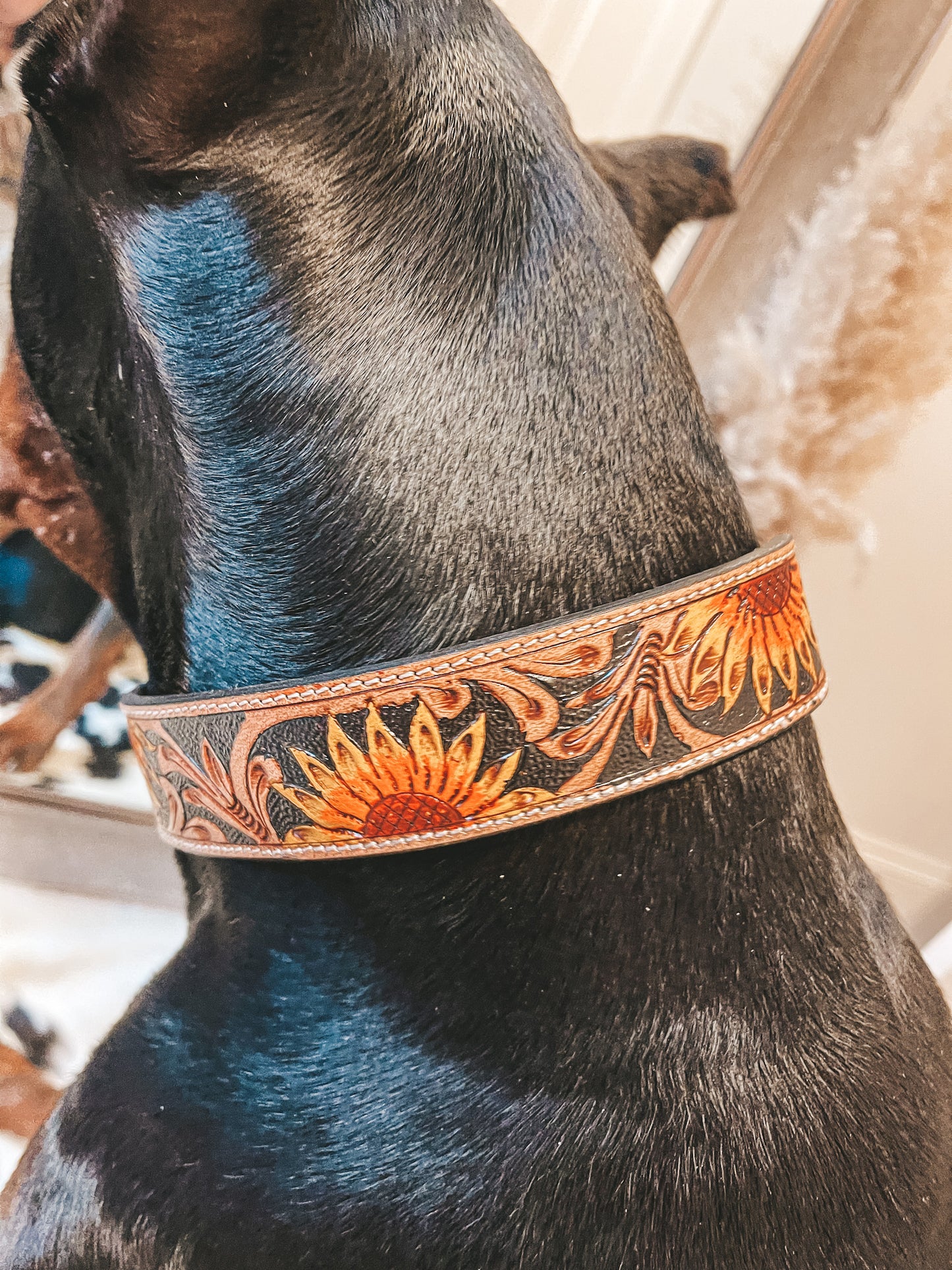 Sunflower Leather Dog Collar