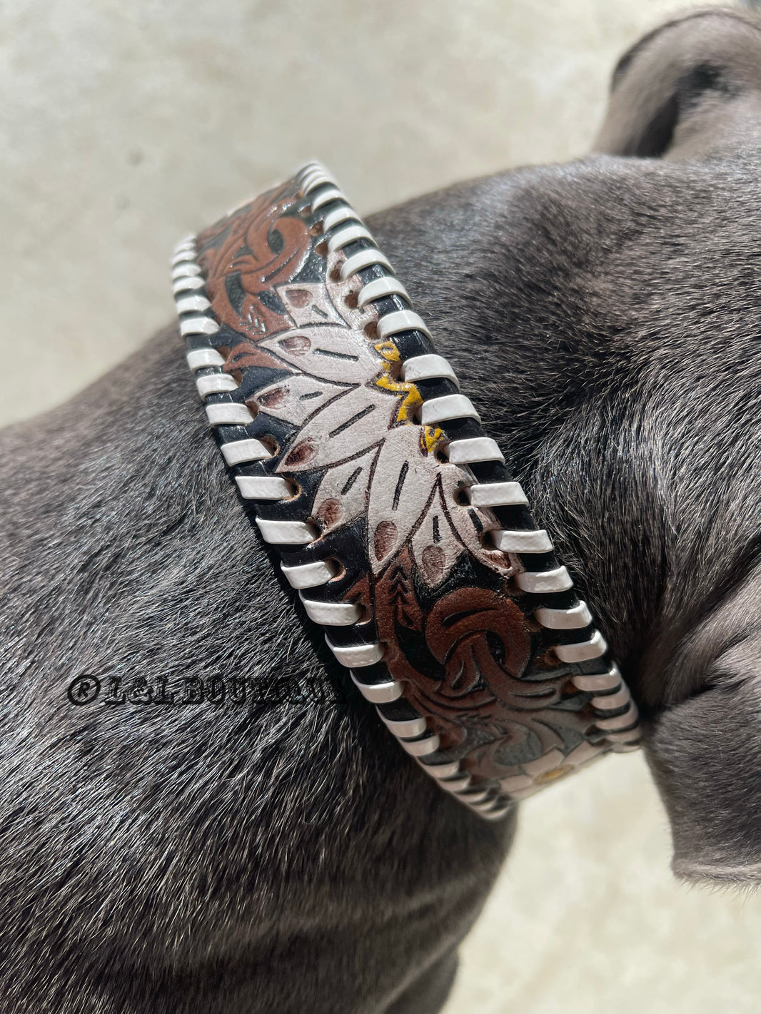 New!  Dog Collar Oxy Daisy main image 0