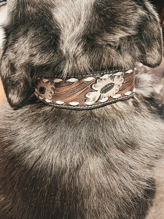 Hotshots Tooled Leather Dog Collar