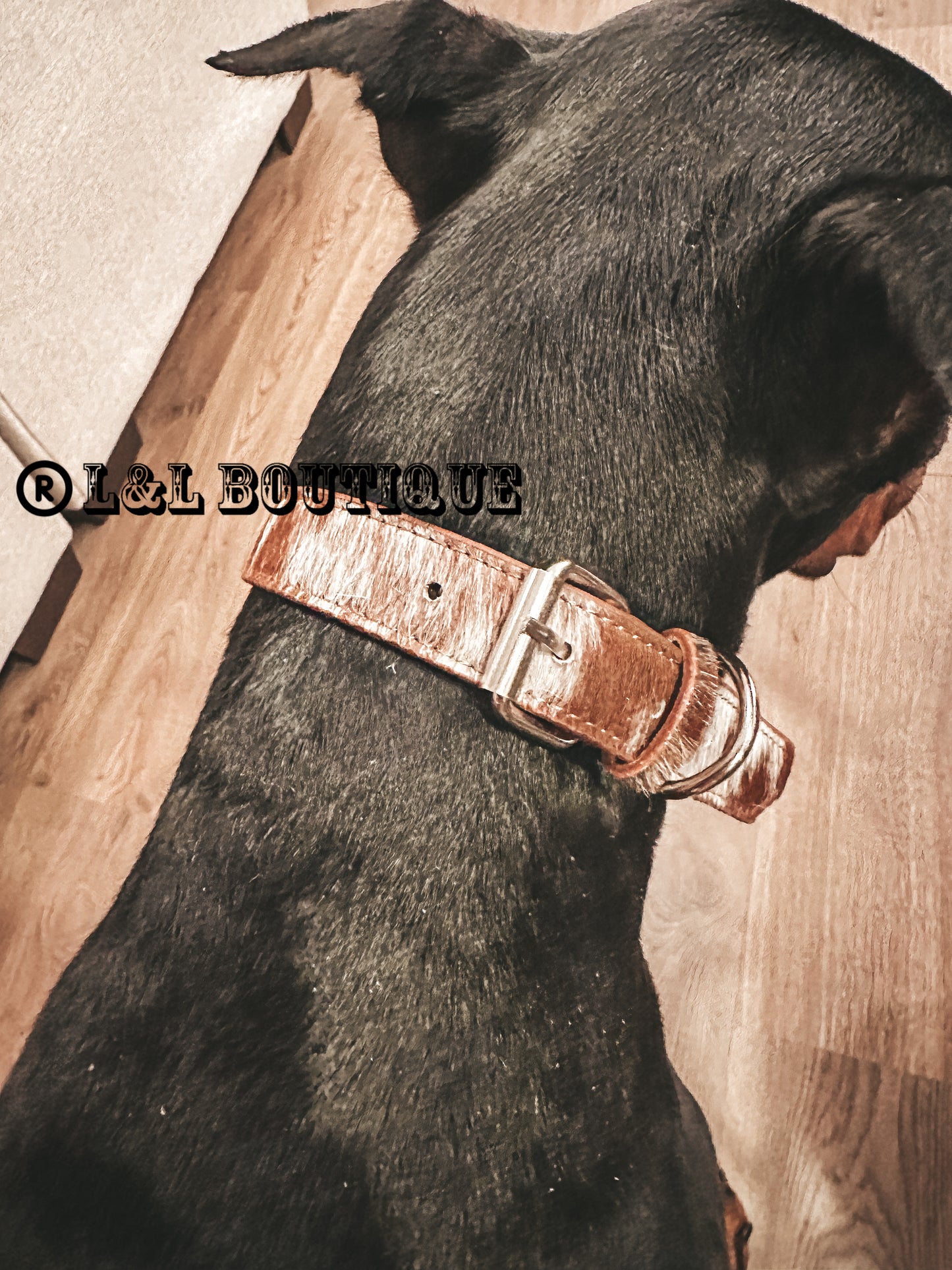 Cowhide Dog Collar