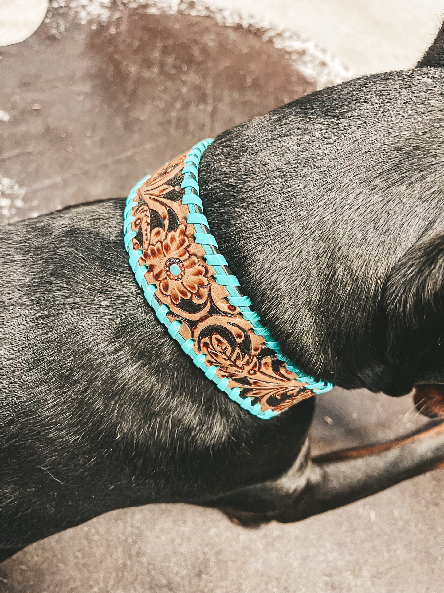 Acety Turquoise Tooled Leather Dog Collar