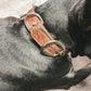 Acety Turquoise Tooled Leather Dog Collar