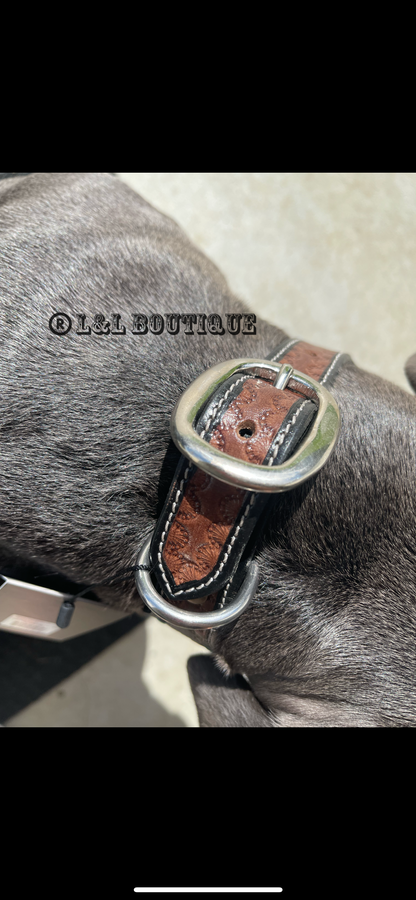 Oxy Daisy Leather Dog Collar