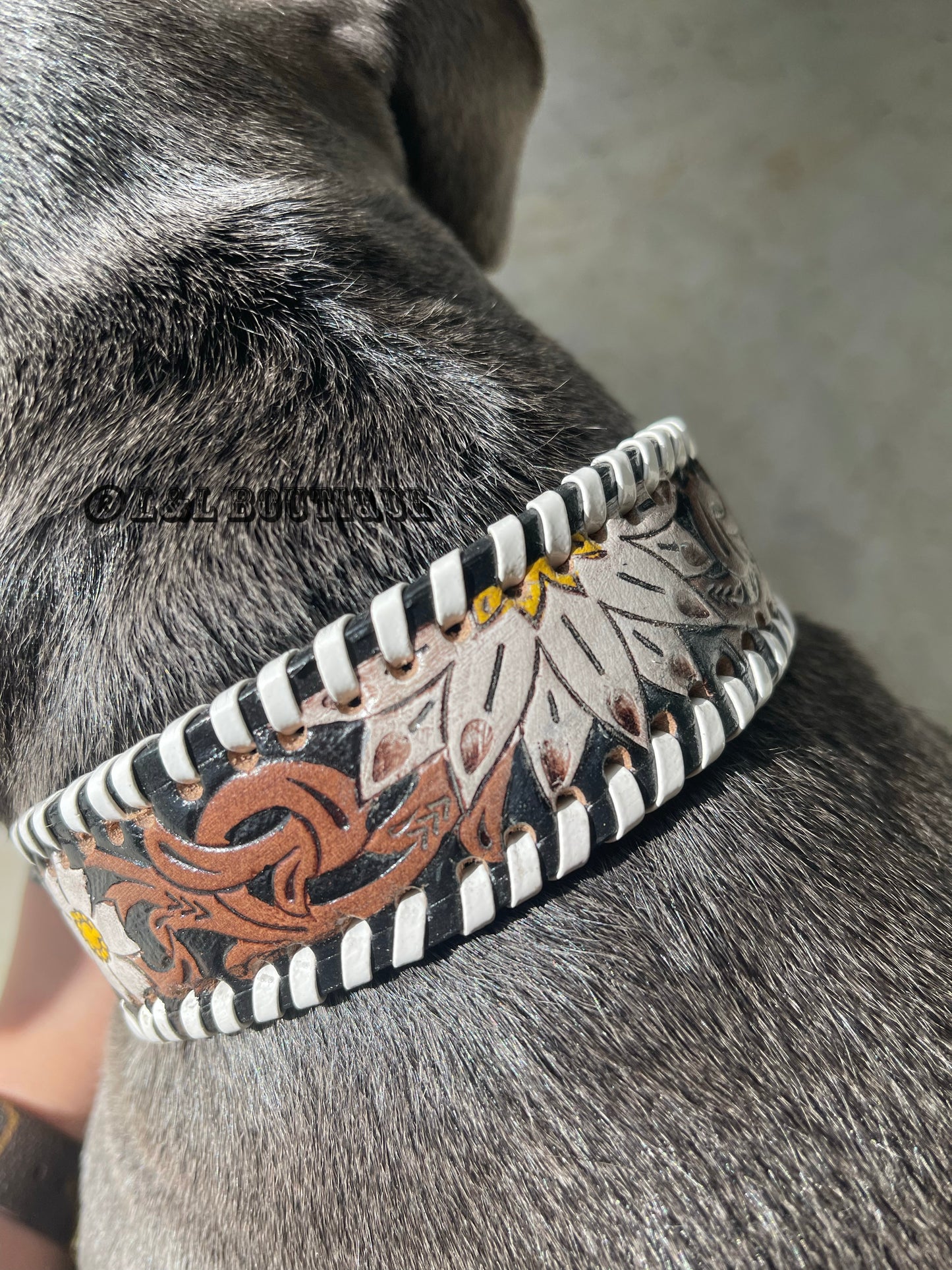 Oxy Daisy Leather Dog Collar